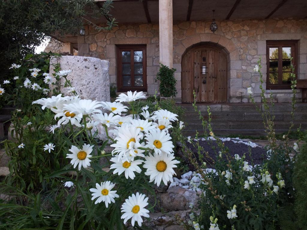 Hotel Rural San Pelayo San Pelayo  エクステリア 写真